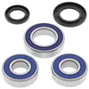 All Balls Rear Wheel Bearing Kit for Kawasaki Ninja 750R
