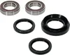 Pivot Works Premium Rear Wheel Bearing Kit for Honda Suzuki ATV 110-250