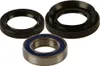 All Balls Rear Wheel Bearing Kit for Honda FourTrax 300