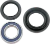 All Balls Rear Wheel Bearing Kit for Honda FourTrax 300