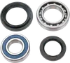 Moose Rear Wheel Axle Bearing Kit