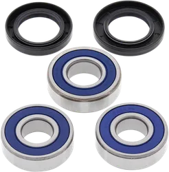 All Balls Rear Wheel Bearing Kit for Honda Street Motorcycle 600-900