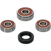 Pivot Works Premium Front Wheel Bearing Kit for Honda Kawasaki Suzuki