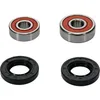 Pivot Works Premium Front Wheel Bearing Kit for Kawasaki Suzuki Motorcycle