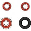 Pivot Works Rear Premium Wheel Bearing Kit