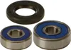 All Balls Rear Wheel Bearing Kit for Honda Off-Road Motorcycle 70-200