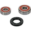 Pivot Works Premium Rear Wheel Bearing Kit for Honda Off-Road Motorcycle 70-200