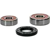 Pivot Works Premium Rear Wheel Bearing Kit for Honda Off-Road Motorcycle 70-200
