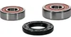 Pivot Works Premium Rear Wheel Bearing Kit for Honda Off-Road Motorcycle 70-200