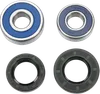 Moose Racing Wheel Bearing and Seals Kit Rear
