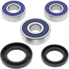 All Balls Rear Wheel Bearing Kit for Yamaha SR500