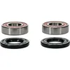 Pivot Works Premium Rear Wheel Bearing Kit for Kawasaki Motorcycle 125-750