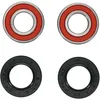 Pivot Works Premium Rear Wheel Bearing Kit for Kawasaki Motorcycle 125-750