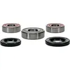 Pivot Works Premium Rear Wheel Bearing Kit for Honda XR250L