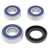 AB Rear Wheel Bearing Kit for Honda Hyosung Suzuki Yamaha Motorcycle