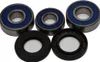 AB Rear Wheel Bearing Kit for Honda Hyosung Yamaha Street Motorcycle