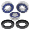 AB Rear Wheel Bearing Kit for Honda Hyosung Yamaha Street Motorcycle
