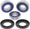 AB Rear Wheel Bearing Kit for Honda Hyosung Yamaha Street Motorcycle