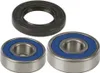 All Balls Rear Wheel Bearing Kit