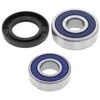All Balls Rear Wheel Bearing Kit