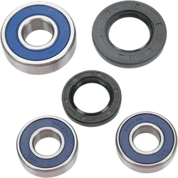 Moose Racing Wheel Bearing and Seals Kit Rear