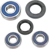 Moose Racing Wheel Bearing and Seals Kit Rear