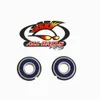 All Balls Front Wheel Bearing Kit for Kawasaki Tecate 250 KXT250