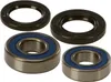 All Balls Rear Wheel Bearing Kit for Yamaha Motorcycle 125-450