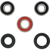 Pivot Works Premium Rear Wheel Bearing Kit for Suzuki DR250SE-DR650SE