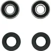 Pivot Works Premium Rear Wheel Bearing Kit Suzuki RM125 RM250 Honda Shadow 800