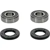 Pivot Works Premium Rear Wheel Bearing Kit Suzuki RM125 RM250 Honda Shadow 800