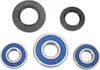 All Balls Rear Wheel Bearing Kit for Suzuki Street Motorcycle 600-1200
