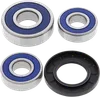 All Balls Rear Wheel Bearing Kit