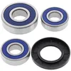 All Balls Rear Wheel Bearing Kit