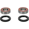 Pivot Works Rear Premium Wheel Bearing Kit