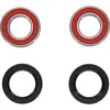 Pivot Works Rear Premium Wheel Bearing Kit