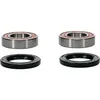 Pivot Works Rear Premium Wheel Bearing Kit