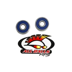 All Balls Rear Wheel Bearing Kit for Suzuki RM50-80 DS80 JR80
