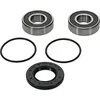 Pivot Works Premium Rear Wheel Bearing Kit Suzuki Quadrunner King Quad