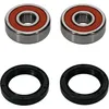Pivot Works Premium Rear Wheel Bearing Kit for Honda Motorcycle 70-110