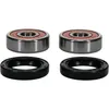 Pivot Works Premium Rear Wheel Bearing Kit for Honda Motorcycle 70-110