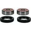 Pivot Works Premium Rear Wheel Bearing Kit for Honda Motorcycle 70-110