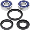 AB Front Wheel Bearing Kit for Kawasaki Street Motorcycle 305-1500