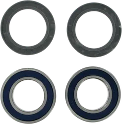 Moose Racing Wheel Bearing and Seals Kit Rear