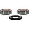 Pivot Works Premium Rear Wheel Bearing Kit for Honda Motorcycle 100-250