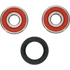 Pivot Works Premium Rear Wheel Bearing Kit for Honda Motorcycle 100-250