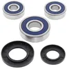 All Balls Rear Wheel Bearing Kit for Suzuki Maico Yamaha Motorcycle