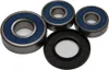 All Balls Rear Wheel Bearing Kit for Suzuki Motorcycle 550-750