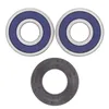 AB Rear Wheel Bearing Kit for Kawasaki Suzuki Motorcycle 900-1600