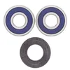 AB Rear Wheel Bearing Kit for Kawasaki Suzuki Motorcycle 900-1600